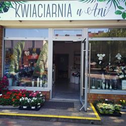 Kwiaciarnia u Ani, Nowogard godziny otwarcia