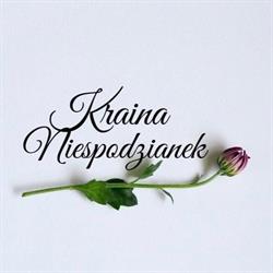 Kraina Niespodzianek, Oława godziny otwarcia