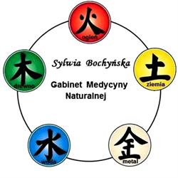 Gabinet Medycyny Naturalnej Sylwia Bochyńska, Toruń godziny otwarcia