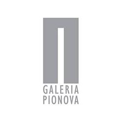 Pionova, Gdańsk godziny otwarcia