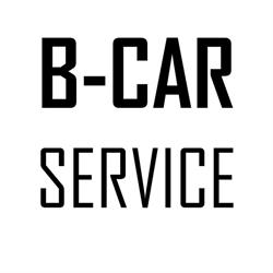 B-CAR SERVICE Krzysztof Borówka, Bielsko-Biała godziny otwarcia