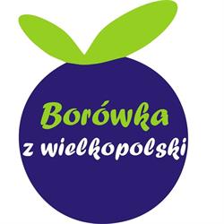 Borówki z wielkopolski - Plantacja borówki amerykańskiej, Konin godziny otwarcia
