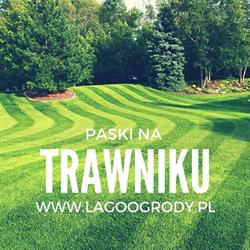 Lago Ogrody, Zakopane godziny otwarcia