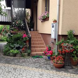 Agroturystyka u Drwala, Zwierzyniec godziny otwarcia