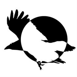 Raven - Instytut Studiów Kulturowych, Czeladź godziny otwarcia