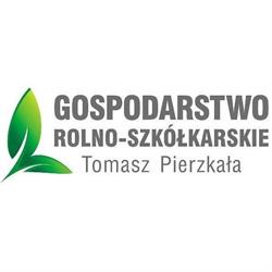 Ligustr.pl, Budzyń godziny otwarcia
