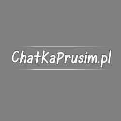 Chatka Prusim, godziny otwarcia