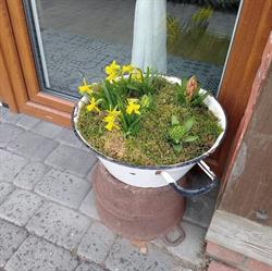 Agroturystyka DANA, Debrzno godziny otwarcia
