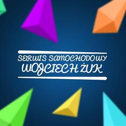 Serwis Samochodowy Wojciech Żuk specjalizaja Ford, Żukowo godziny otwarcia