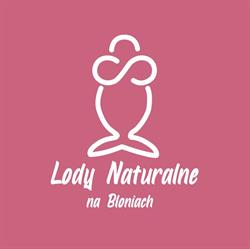 Lody Naturalne na Błoniach, Ścinawa godziny otwarcia