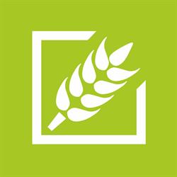 BIG-AGRO.pl, Kętrzyn godziny otwarcia