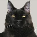 CoonKitty, Budy-Grzybek godziny otwarcia