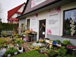 Kwiaciarnia Carolla Izabela Sobkowicz, Lubień - godziny otwarcia