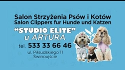 Studio ELITE Artur - Strzyżenie Psów Hundesalon, Świnoujście godziny otwarcia