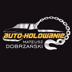 Auto-Holowanie Dobrzański, Szczecin godziny otwarcia