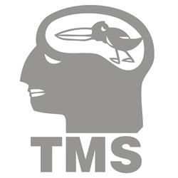 TMS Sp. z o.o., Warszawa godziny otwarcia