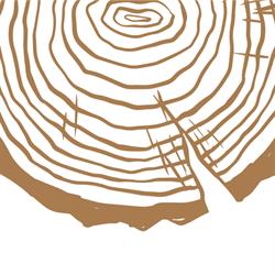 Usługi Stolarskie - Paweł Kowalczyk & WoodArt Sebastian Koza, Świdno godziny otwarcia