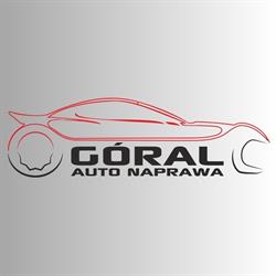 Auto Naprawa Handel Paweł Góral, Gniezno godziny otwarcia