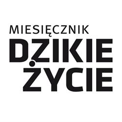 Miesięcznik Dzikie Życie, Bystra godziny otwarcia