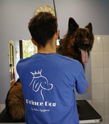 Prince Dog, Tychy godziny otwarcia