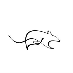 Kiss The Kiss The Rat, Grudziądz godziny otwarcia