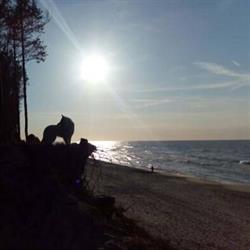 NZOZ "Diamed" Poradnie Zdrowia Psychicznego dla Dzieci, Młodzieży i Dorosłych, Gniezno godziny otwarcia