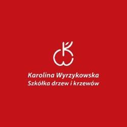 Szkółka Drzew i Krzewów Karolina Wyrzykowska, Legnica godziny otwarcia