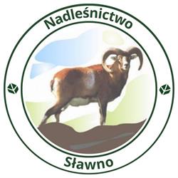 Nadleśnictwo Sławno, godziny otwarcia
