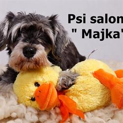 Psi Salon "Majka", Radomsko godziny otwarcia