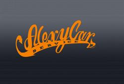 ALEXY Car Service, Toruń godziny otwarcia