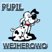 Pupil, Wejherowo godziny otwarcia