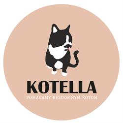 Fundacja Kotella, Gdańsk godziny otwarcia