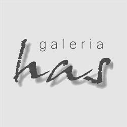 Platforma Sztuki RENES / Galeria HAS, Leszno godziny otwarcia