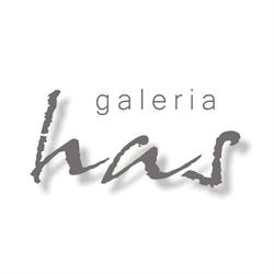Platforma Sztuki RENES / Galeria HAS, Leszno godziny otwarcia