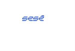 Sese Polska Sp. z.o.o., Gliwice godziny otwarcia