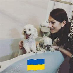 Rock Dog - Salon Pielęgnacji Zwierząt, Jarocin godziny otwarcia