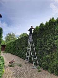 Ogrodowe Pogotowie Piotr Kobiela, Tychy godziny otwarcia