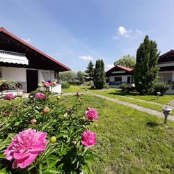 OŚRODEK LETNISKOWY S C DOMKI BARBARA W & B NOWOSATKO, Sztum godziny otwarcia