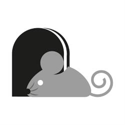 sklep zoologiczny myszunia.pl, Bydgoszcz godziny otwarcia