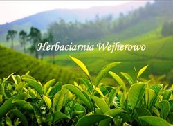Herbaciarnia Wejherowo- sklep ze zdrową żywnością, godziny otwarcia