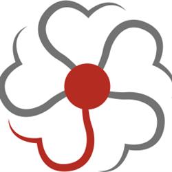 Primula Clinic, Grodzisk Mazowiecki godziny otwarcia
