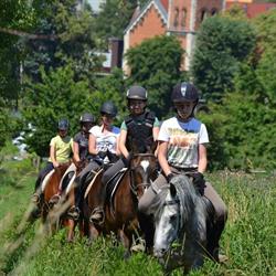 Stajnia Anais Kwiaty I Konie, Tarnowskie Góry godziny otwarcia