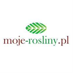 Szkółka roślin ozdobnych " moje-rośliny.pl ", Racibórz godziny otwarcia