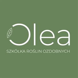 OLEA - szkółka roślin ozdobnych, Kalisz godziny otwarcia