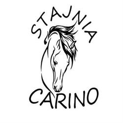 Stajnia Carino, Gulin godziny otwarcia