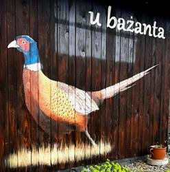 U Bażanta, Uherce Mineralne godziny otwarcia