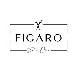 Salon Fryzjerski FIGARO Dawid Obiała, Mogilno godziny otwarcia