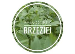 Sadzonki z Brzeziej, Brzezia Łąka godziny otwarcia