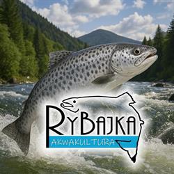 Delikatesy Rybajka - sklep firmowy w Pile, Piła godziny otwarcia