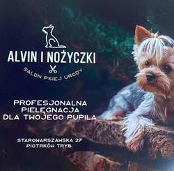 Salon Psiej Urody Alvin i Nożyczki, Piotrków Trybunalski godziny otwarcia